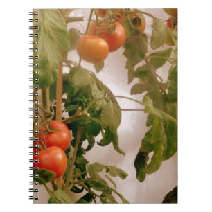 Tomatoes On Vine Notebook