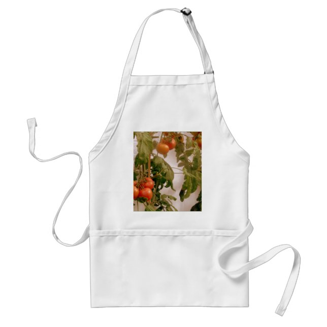 Tomatoes On Vine Standard Apron (Front)