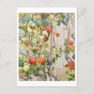 Tomatoes Painting by Pekka Halonen Postcard