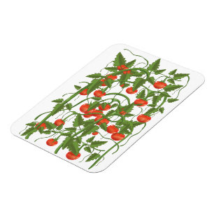 Tomatoes Pattern Magnet