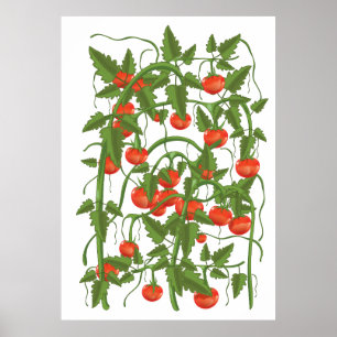 Tomatoes Pattern Poster