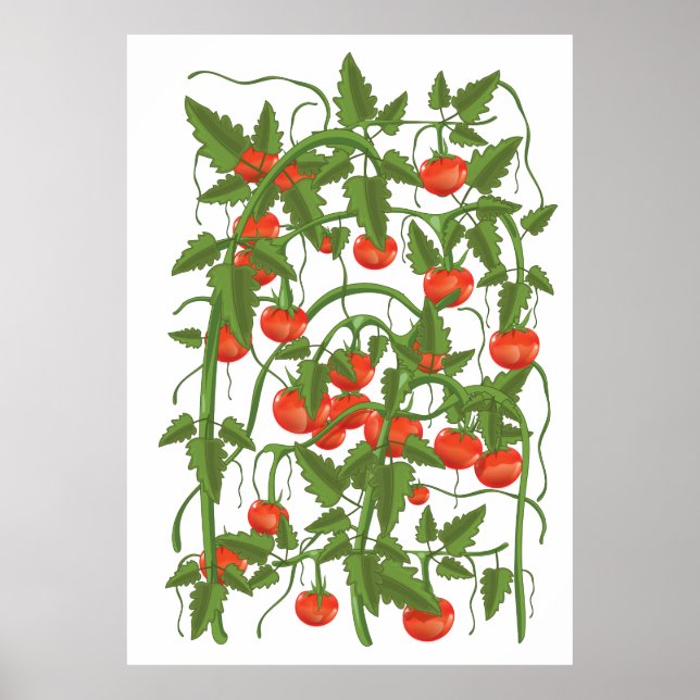 Tomatoes Pattern Poster (Front)