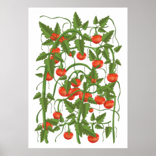 Tomatoes Pattern Poster