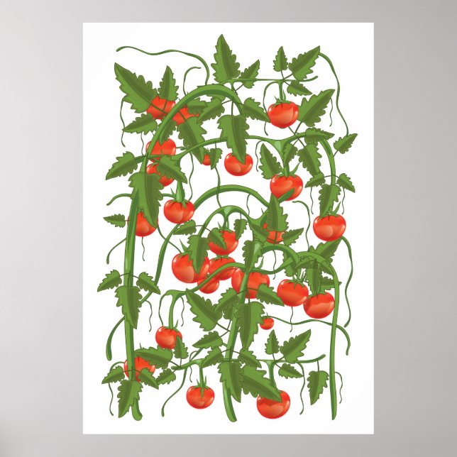 Tomatoes Pattern Poster (Front)