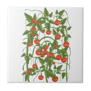 Tomatoes Pattern Tile