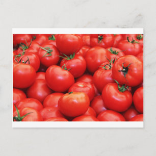 Tomatoes Postcard