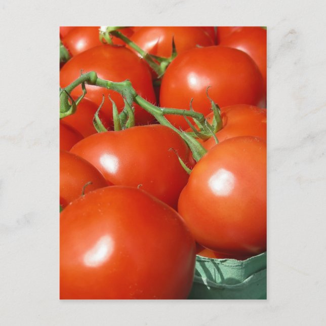 Tomatoes Postcard (Front)