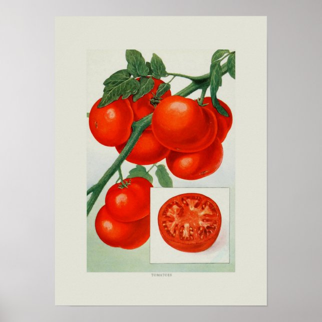 Tomatoes Poster (Front)
