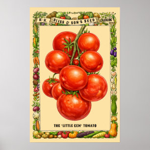 Tomatoes Retro Victorian Era Botanical Art Poster