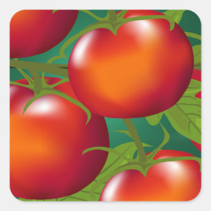 Tomatoes Sticker