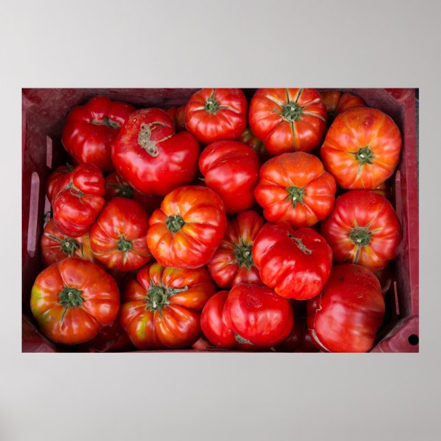 Tomatos At Market Poster (Front)
