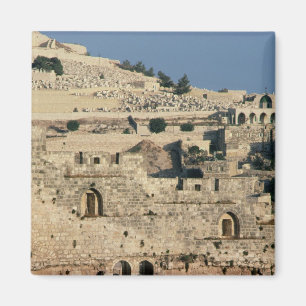 Tombs on the side of the Mount of Olives Magnet