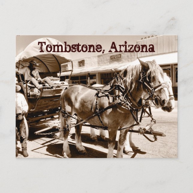 Tombstone Arizona Horses Covered Wagon Postcard (Front)