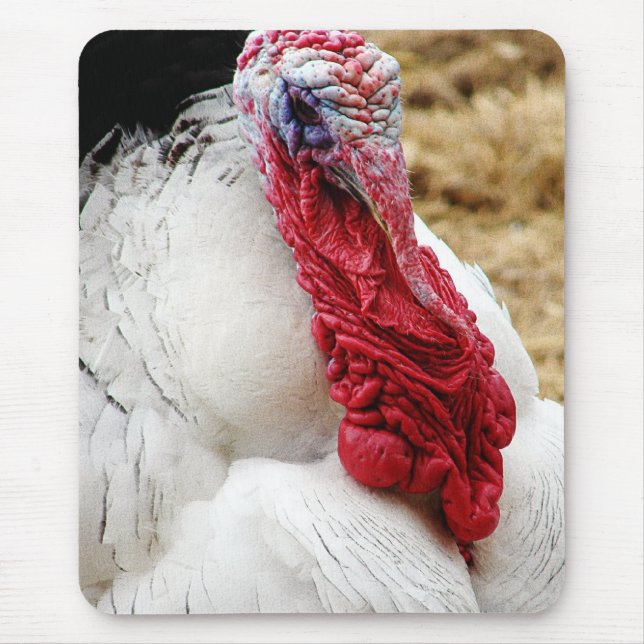 Tommy Mouse Mat (Front)