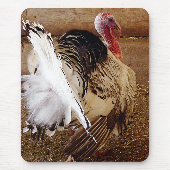 Tommy Mouse Mat (Front)