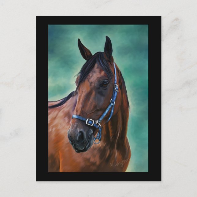 Tommy Standardbred Horse Art Postcard (Front)