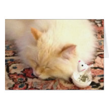 Tomorrow, We Catch The Red Dot