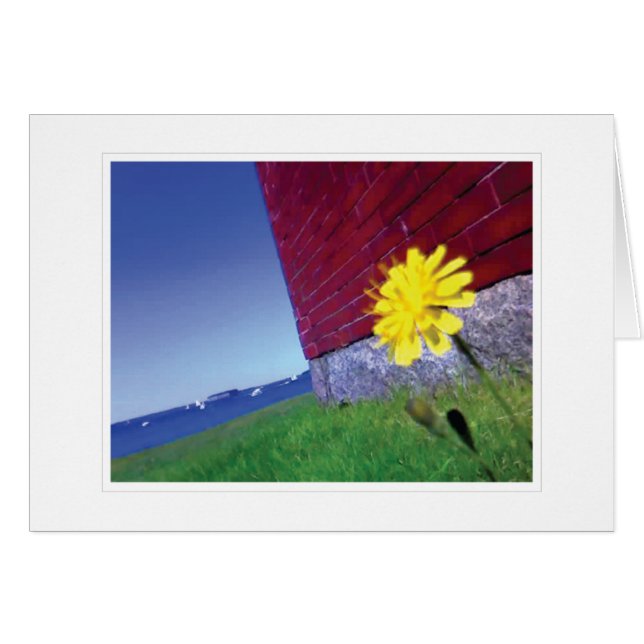 Tomorrow's Wishes (Front Horizontal)