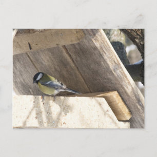 tomtit_3 postcard