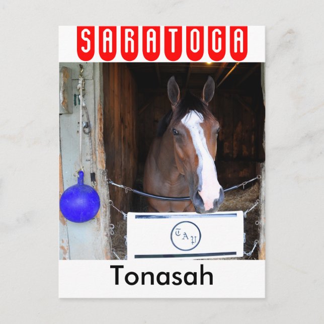 Tonasah Postcard (Front)