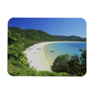 Tonga Bay, Abel Tasman NP, South Island, New Magnet