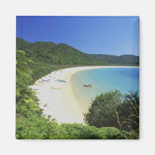 Tonga Bay, Abel Tasman NP, South Island, New Magnet