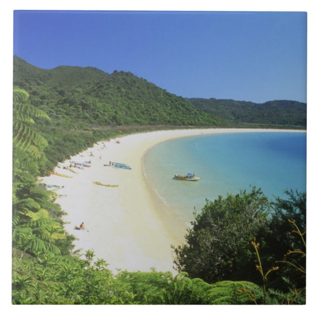 Tonga Bay, Abel Tasman NP, South Island, New Tile (Front)