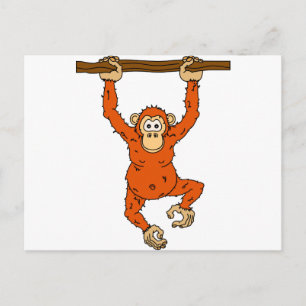 Tongo Chimp Postcard