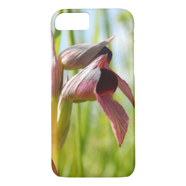 Tongue Orchid iPhone Case (Back)