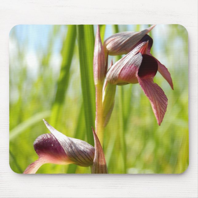 Tongue Orchid Mouse Mat (Front)