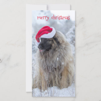 tongue out Leonberger Holiday Card