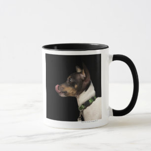 Tongue out of black and White Rat Terrier Mug