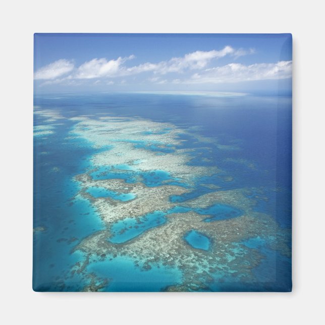 Tongue Reef, Great Barrier Reef Marine Park, Magnet (Front)