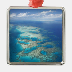 Tongue Reef, Great Barrier Reef Marine Park, Metal Tree Decoration