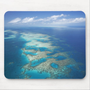 Tongue Reef, Great Barrier Reef Marine Park, Mouse Mat