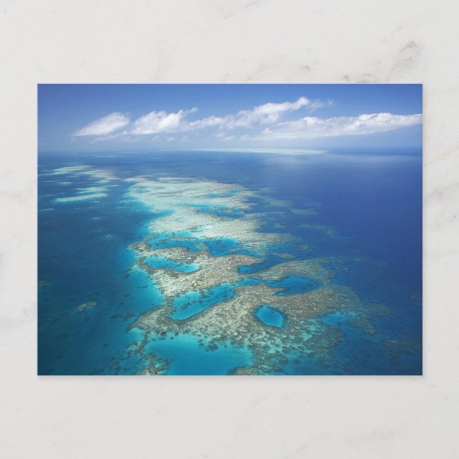 Tongue Reef, Great Barrier Reef Marine Park, Postcard (Front)