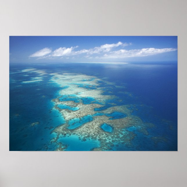 Tongue Reef, Great Barrier Reef Marine Park, Poster (Front)