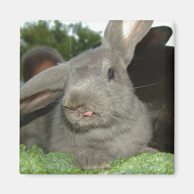 Tongue twister | magnet (Front)