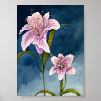 Toni's Stargazer Lillies Poster