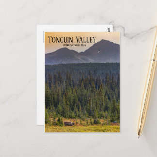 Tonquin Valley, Jasper NP Caribou Postcard