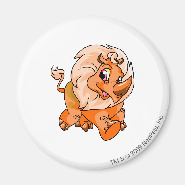 Tonu Orange Magnet (Front)