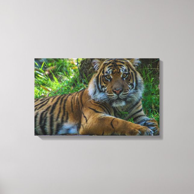 Tony Canvas Print (Front)