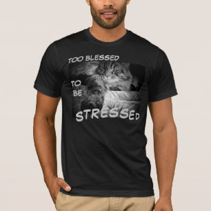 Too Blessed To Be Stressed T-Shirt