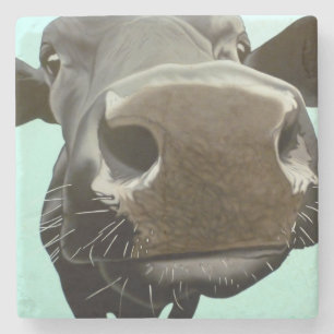 'Too Close For Comfort' Stone Coaster