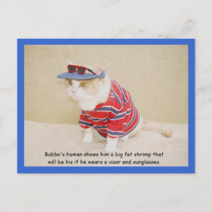 Too Cool Bubba Kitty Postcard