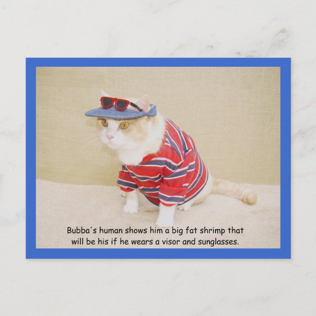 Too Cool Bubba Kitty Postcard (Front)