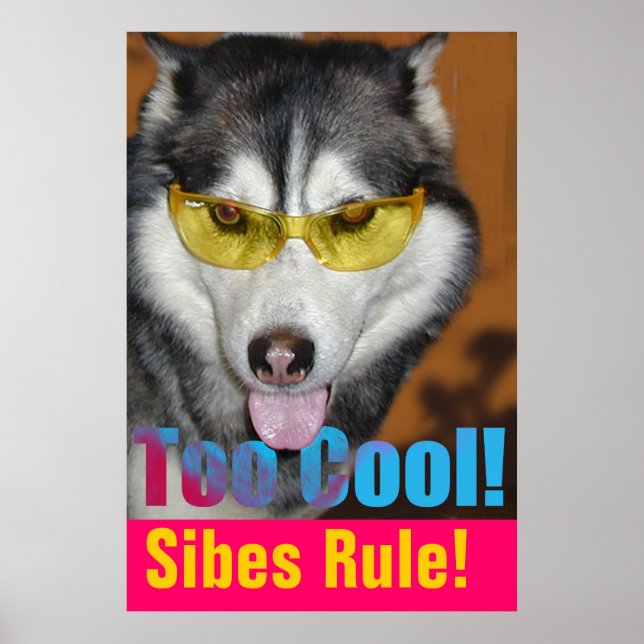 Too Cool Poster (Front)