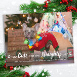 Too Cute For Naughty List Funny Dog Pet Photo Holiday Postcard<br><div class="desc">Too Cute for the Naughty list! Send cute and fun holiday greetings with this super cute personalised custom pet photo holiday card. Merry Christmas wishes from the dog with cute paw prints in a fun modern photo design. Add your dog's photo or family photo with the dog, and personalise with...</div>
