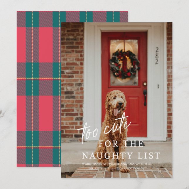 Too Cute for the Naughty List Pet Photo Holiday  Invitation (Front/Back)