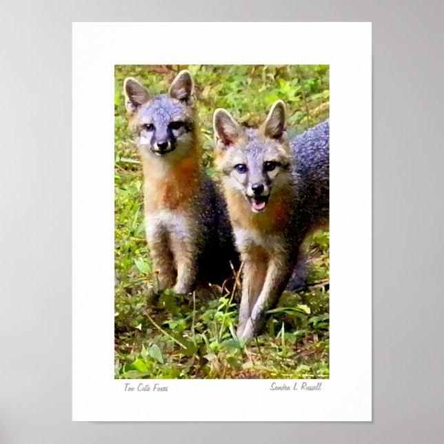 Too Cute Foxes original photo by S.L Russell Poster (Front)